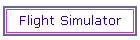 Flight Simulator