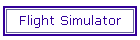 Flight Simulator